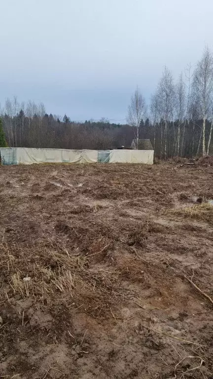 Участок в Москва д. Кузнецово,  (7.4 сот.) - Фото 2