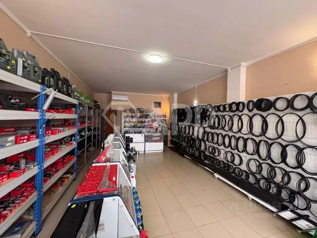 Помещение свободного назначения в Краснодарский край, Геленджик просп. ... - Фото 2