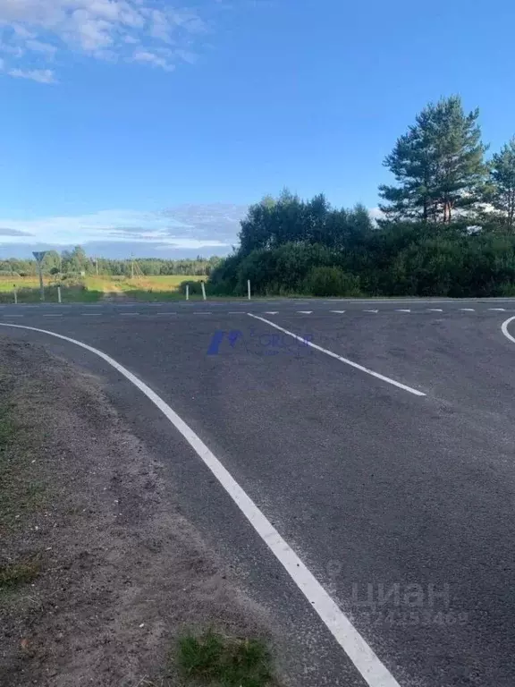 Участок в Ярославская область, Угличский муниципальный округ, ... - Фото 1