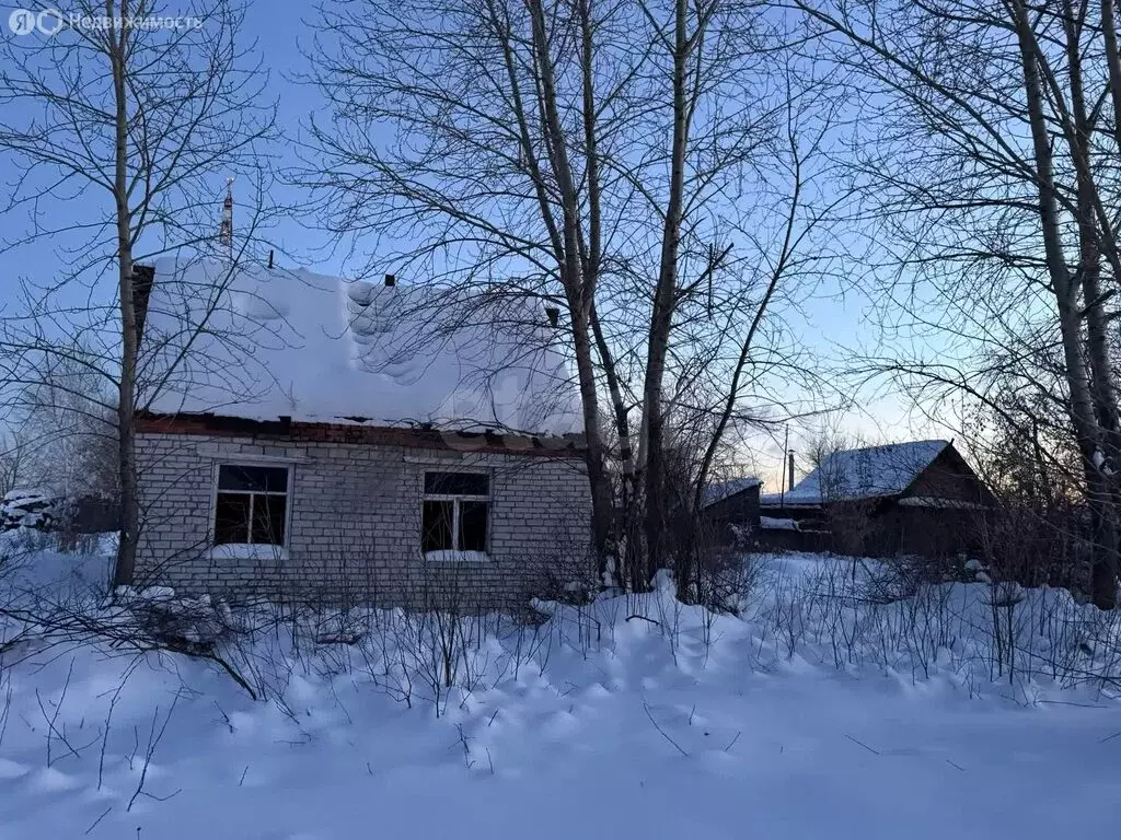 Участок в Курганская область, Каргапольский муниципальный округ, ... - Фото 1