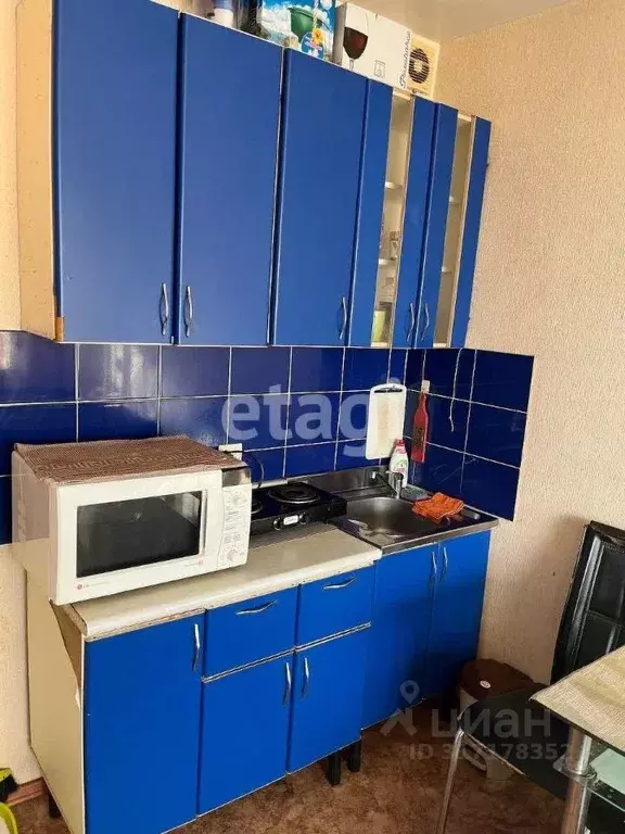 Студия Амурская область, Благовещенск Батарейная ул., 7 (27.9 м) - Фото 0