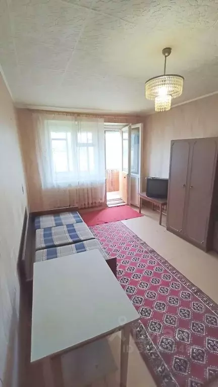 1-к кв. Воронежская область, Воронеж ул. Героев Сибиряков, 81 (31.0 м) - Фото 2