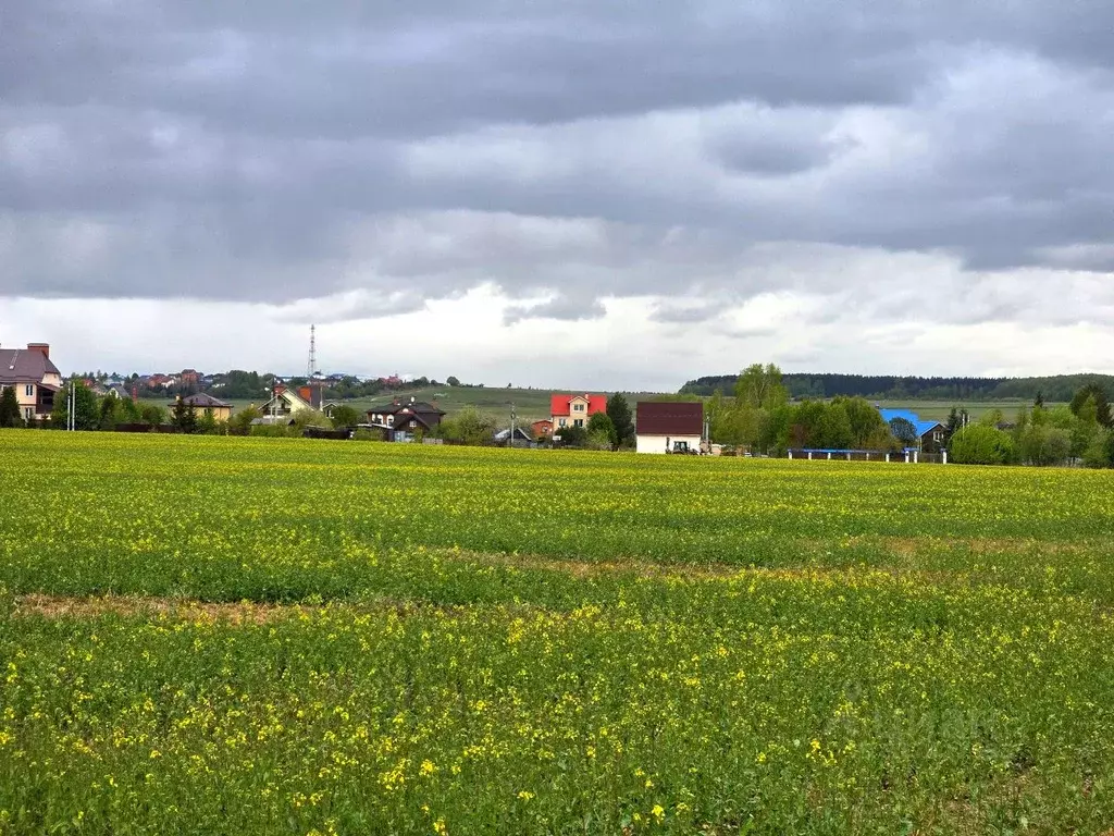 Участок в Московская область, Домодедово городской округ, д. Камкино ... - Фото 0