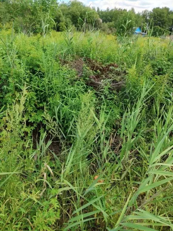 Участок в Хабаровский край, Хабаровский район, Пограничник СДТ 87 (8.8 ... - Фото 2