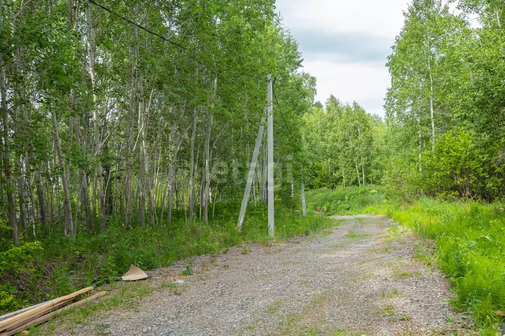 Участок в Новосибирская область, Новосибирский район, Барышевский ... - Фото 0