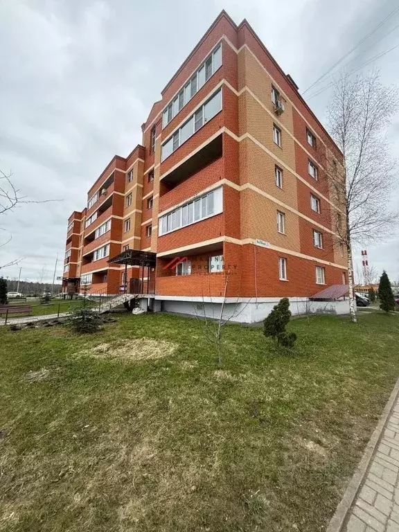 Торговая площадь в Московская область, Щелково городской округ, д. ... - Фото 2