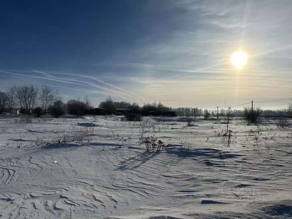 Участок в Московская область, Серебряные Пруды пгт  (15.0 сот.) - Фото 2