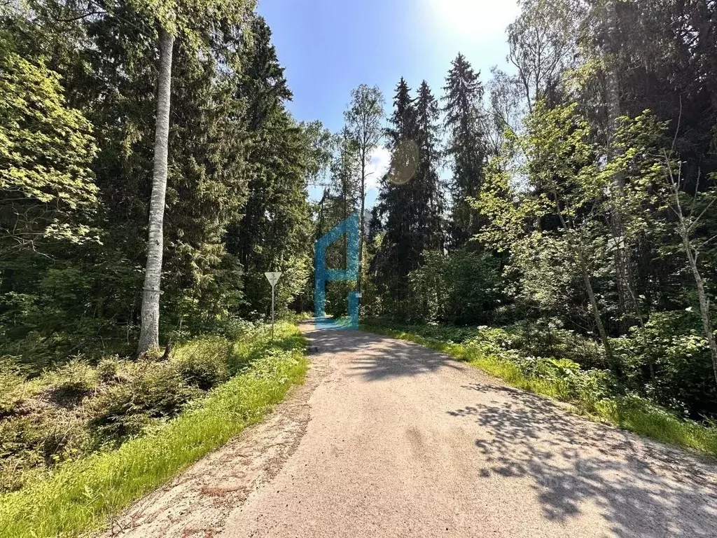 Участок в Московская область, Клин городской округ, Подсолнухи кп ул. ... - Фото 1