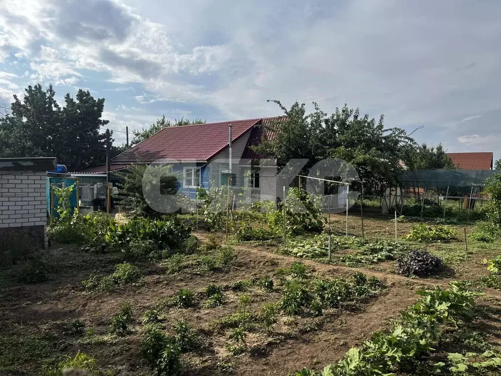 Участок в Волгоградская область, Краснослободск Среднеахтубинский ... - Фото 2