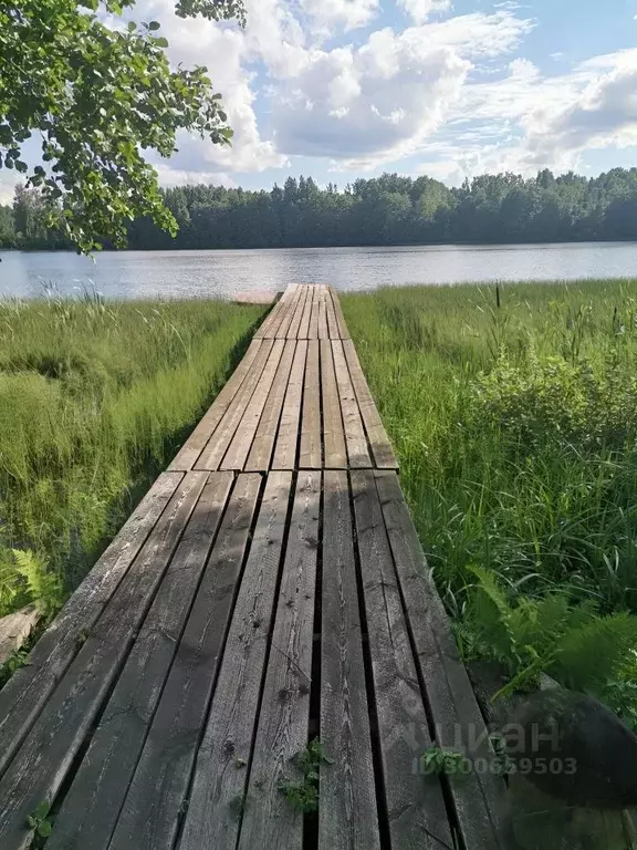 Дом в Псковская область, Гдовский район, Плесновская волость, д. ... - Фото 1