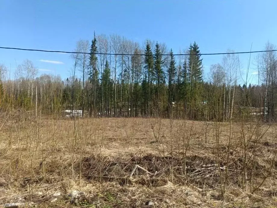 Участок в Пермский край, Березники ул. Благополучия, 14 (14.1 сот.) - Фото 2
