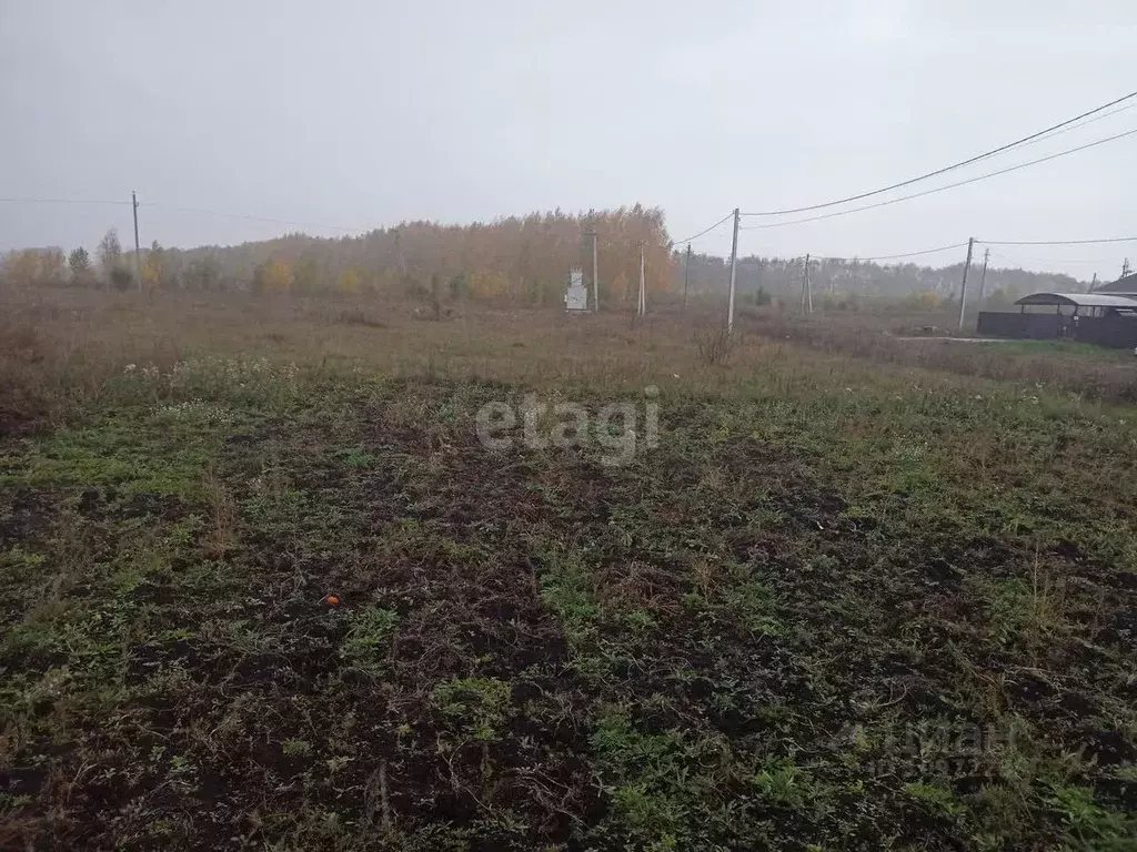 Участок в Башкортостан, Аургазинский район, с. Толбазы ул. Трудовая, .,  Купить земельный участок Толбазы, Аургазинский район, ID объекта -  20007038754