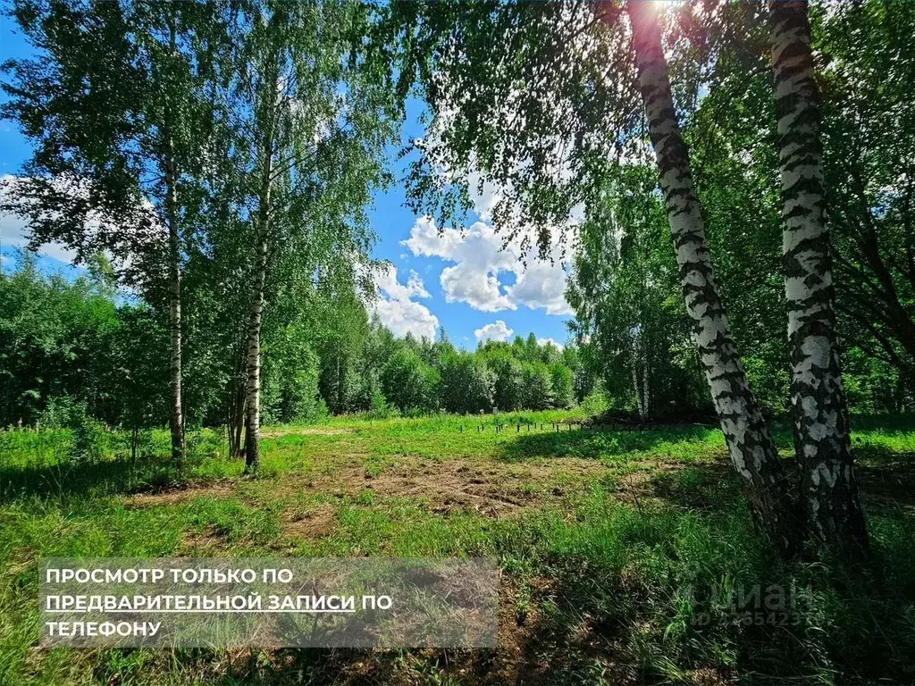 Участок в Ленинградская область, Тосненский район, Любанское городское ... - Фото 2