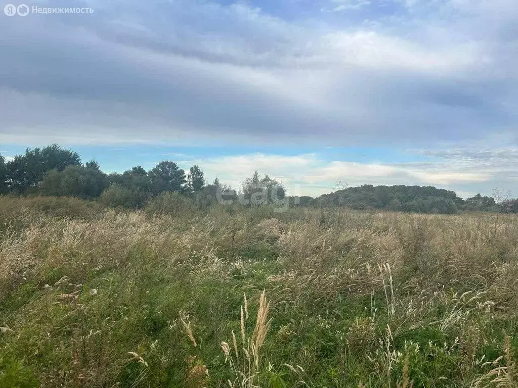 Участок в Хабаровский район, село Ракитное (20 м) - Фото 0