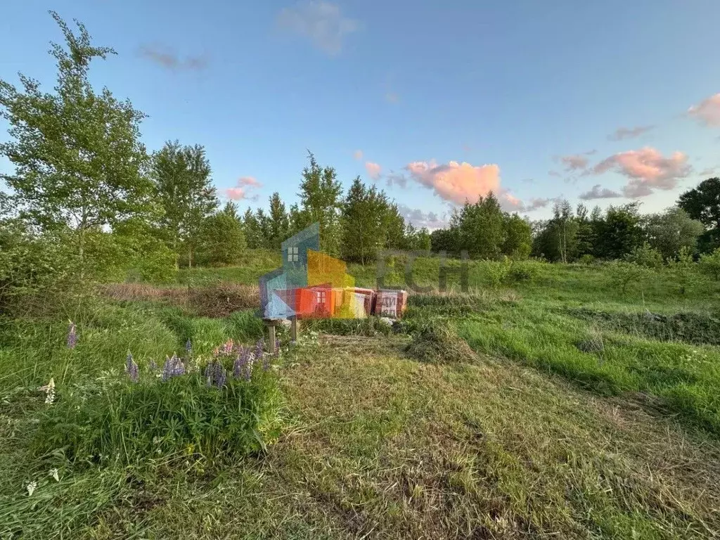 Участок в Тульская область, Тула Ветеран СНТ, проезд 1-й (9.0 сот.) - Фото 1