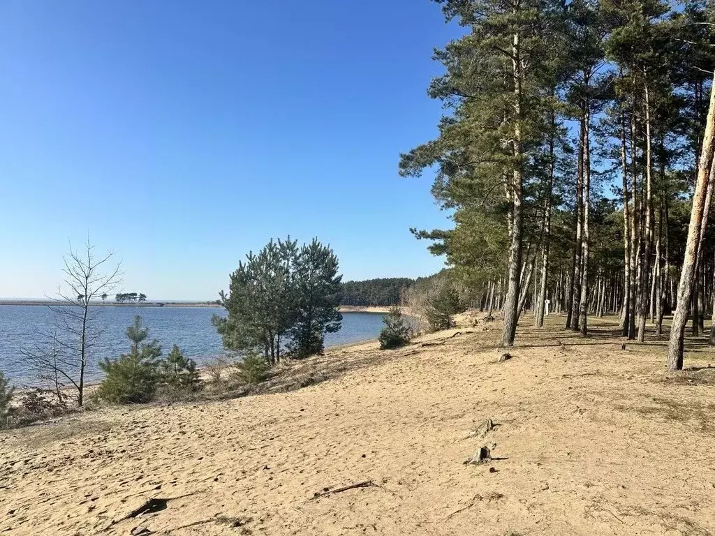 Дом в Калининградская область, Калининград Мечта СНТ, проезд 7-й (62 ... - Фото 0