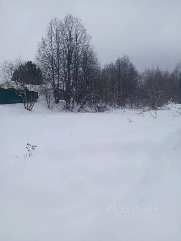 Участок в Московская область, Чехов муниципальный округ, д. Оксино  ... - Фото 2