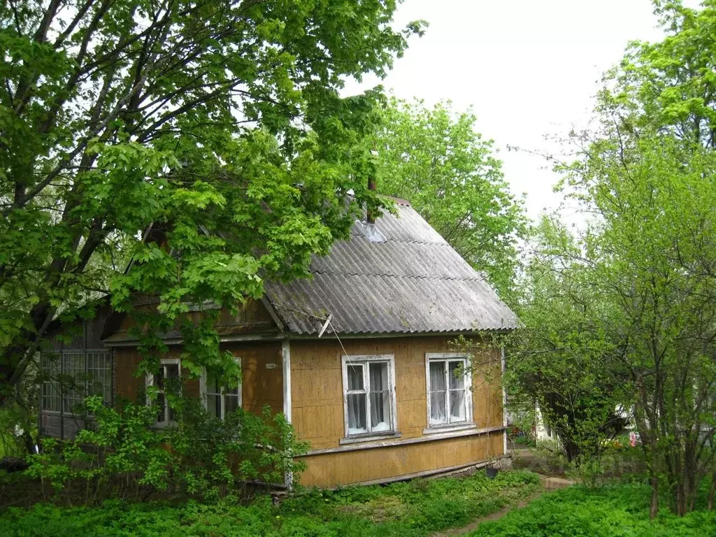 Участок в Ленинградская область, Всеволожский район, Лесколовское ... - Фото 0