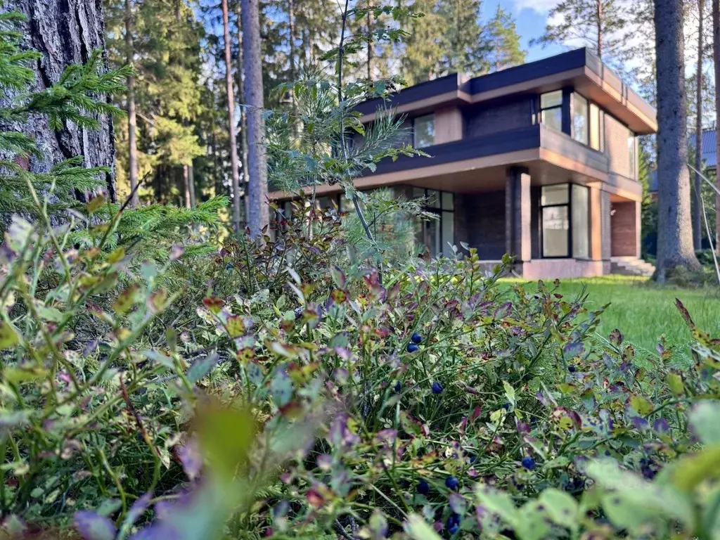 Коттедж в Ленинградская область, Выборгский район, Первомайское с/пос, ... - Фото 2