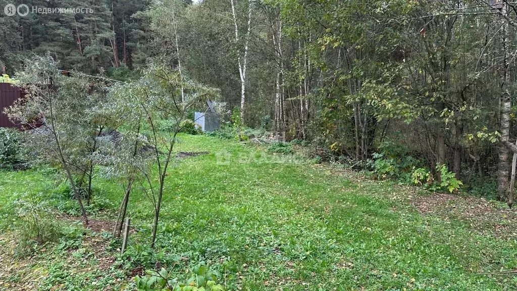 Участок в Корпуса, Берёзовая улица, 75 (15 м) - Фото 0
