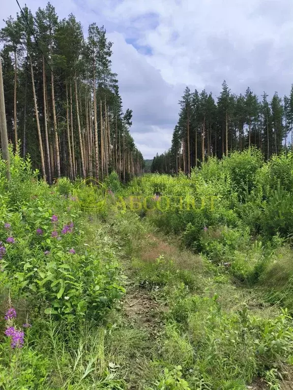 Участок в Свердловская область, Ревда  (10.51 сот.) - Фото 1