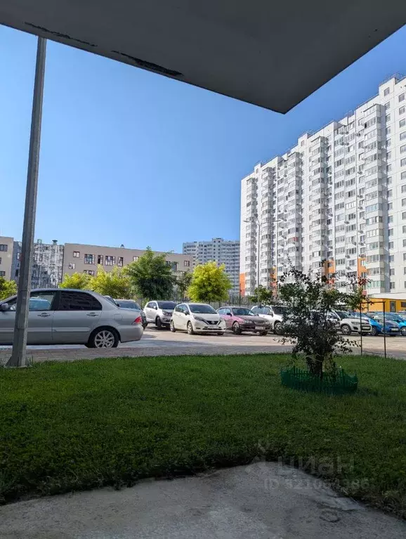 Офис в Краснодарский край, Анапа ул. Адмирала Пустошкина, 16 (12 м) - Фото 2