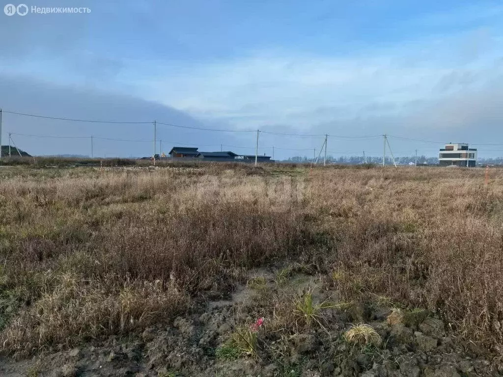 Участок в Калининградская область, Зеленоградский муниципальный округ, ... - Фото 1