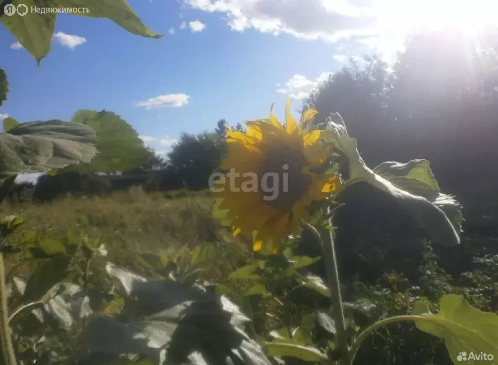 Участок в Ирбит, Набережная улица (21 м) - Фото 0