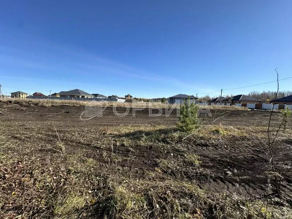 Участок в Тюменская область, Тюмень Царево садовое товарищество, ул. ... - Фото 2