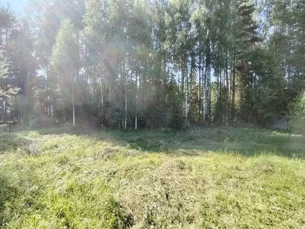 Участок в Кировская область, Слободской район, д. Шихово  (14.2 сот.) - Фото 2
