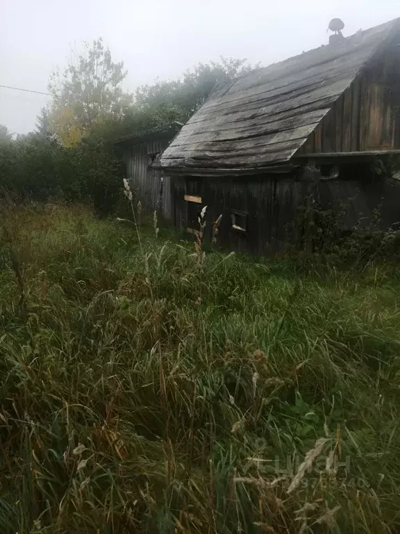 Участок в Ленинградская область, Ломоносовский район, Аннинское ... - Фото 1