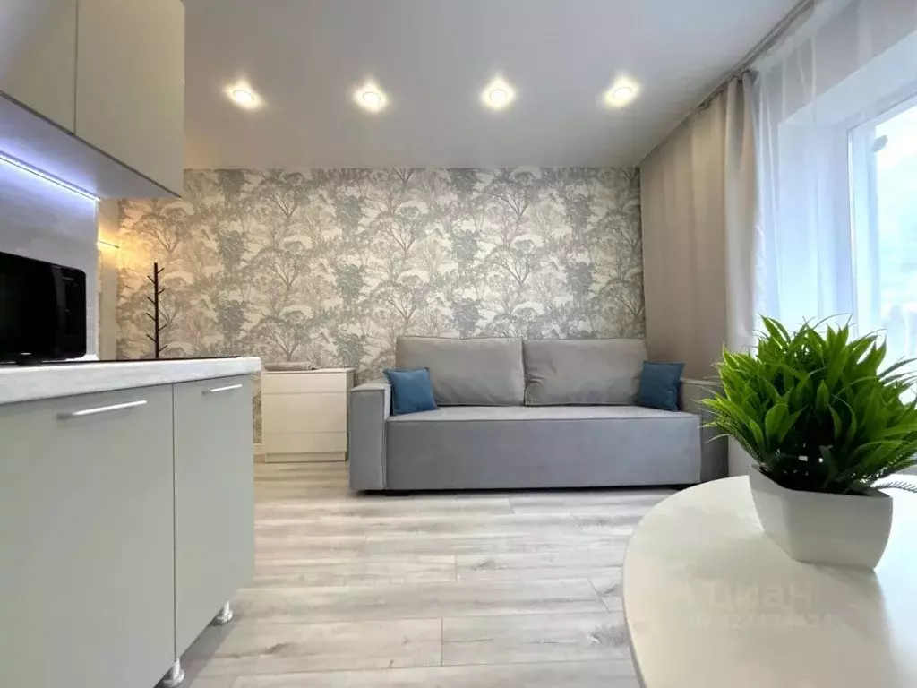 Студия Томская область, Томск ул. Елизаровых, 17 (14.2 м) - Фото 1