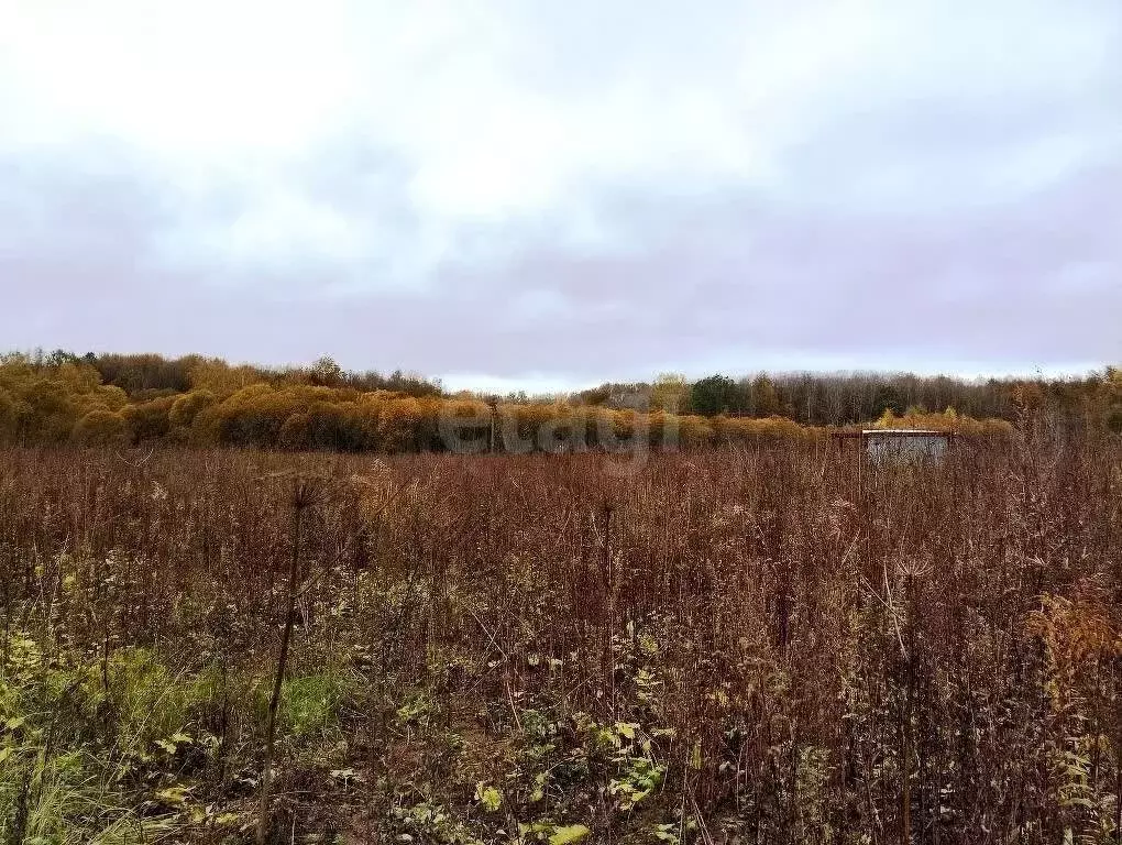 Участок в Тульская область, городской округ Тула, деревня Натальинка ... - Фото 0