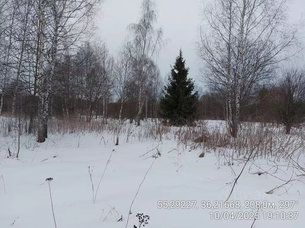 Участок в Московская область, Наро-Фоминский городской округ, д. ... - Фото 0