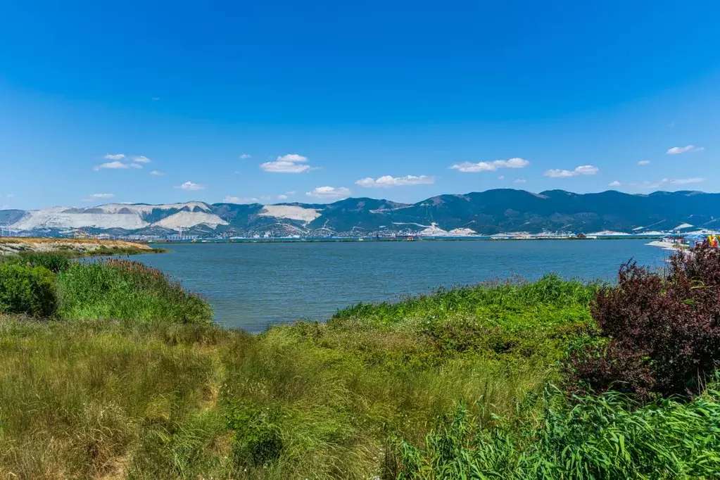 1-к кв. Краснодарский край, Новороссийск пер. Морской, 5 (33.0 м) - Фото 2