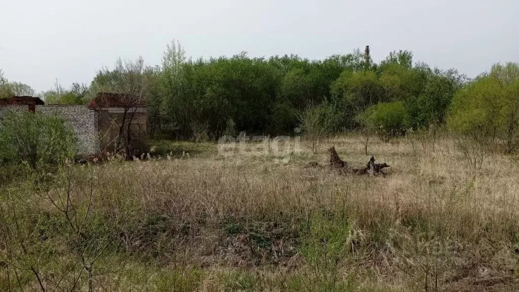 Участок в Еврейская автономная область, Смидовичский район, пос. ... - Фото 1