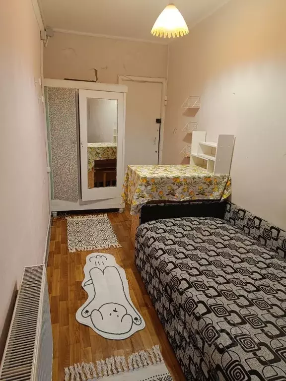 Комната Санкт-Петербург пер. Басков, 34 (10.0 м) - Фото 2