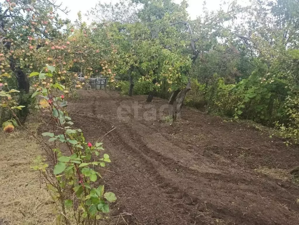 Участок в Калининград, СНТ Мелиоратор, Васильковая улица (4.5 м) - Фото 1
