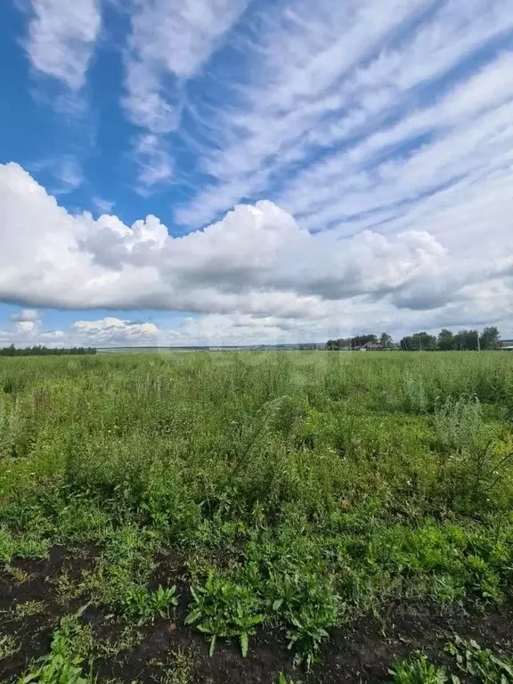 Участок в Мордовия, Лямбирский район, Берсеневское с/пос, Альтерра кп  ... - Фото 2