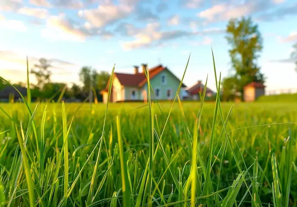 Участок в Ростовская область, Азовский район, с. Пешково Октябрьский ... - Фото 1