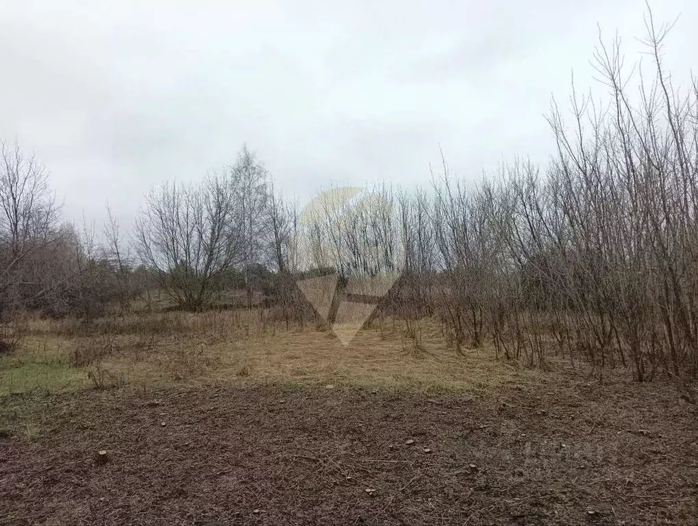 Участок в Белгородская область, Старооскольский городской округ, с. ... - Фото 0