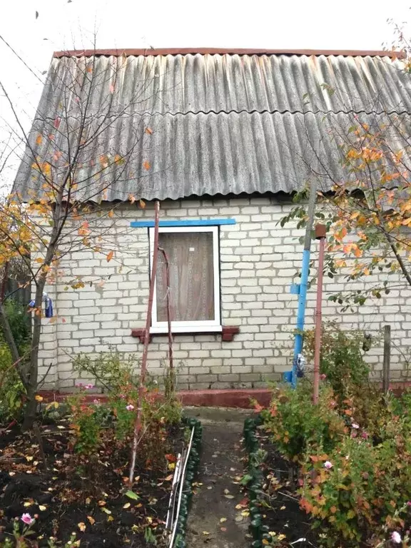 Дом в Белгородская область, Белгородский район, Беломестненское с/пос, ... - Фото 1