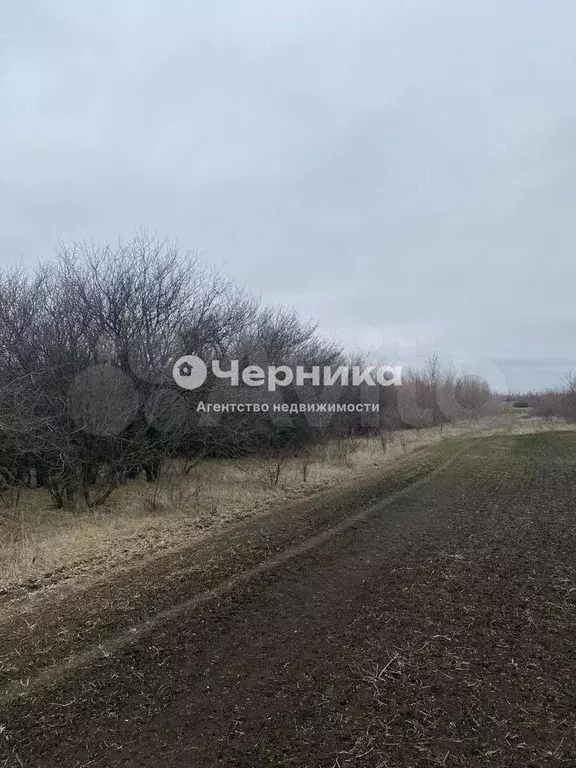 Участок 12 га (СНТ, ДНП) - Фото 0