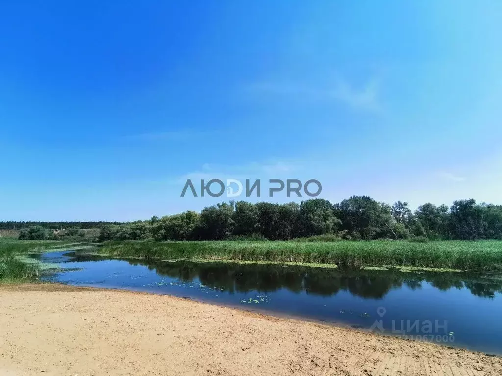 Участок в Саратовская область, Энгельсский район, Красноярское ... - Фото 1