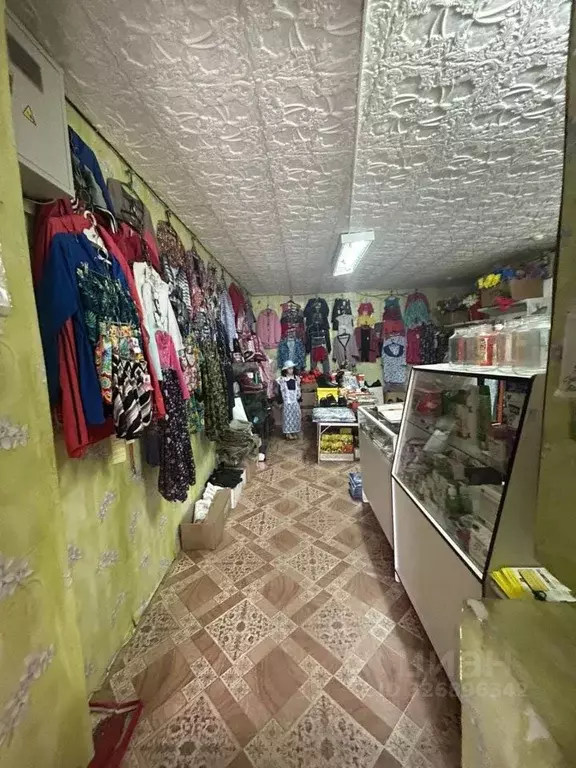 Помещение свободного назначения в Новосибирская область, Ордынский ... - Фото 2