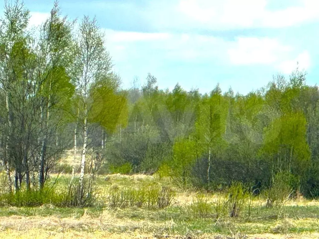 Участок 12 сот. (ИЖС) - Фото 1
