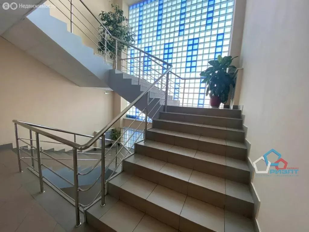 Помещение свободного назначения (32.9 м) - Фото 1