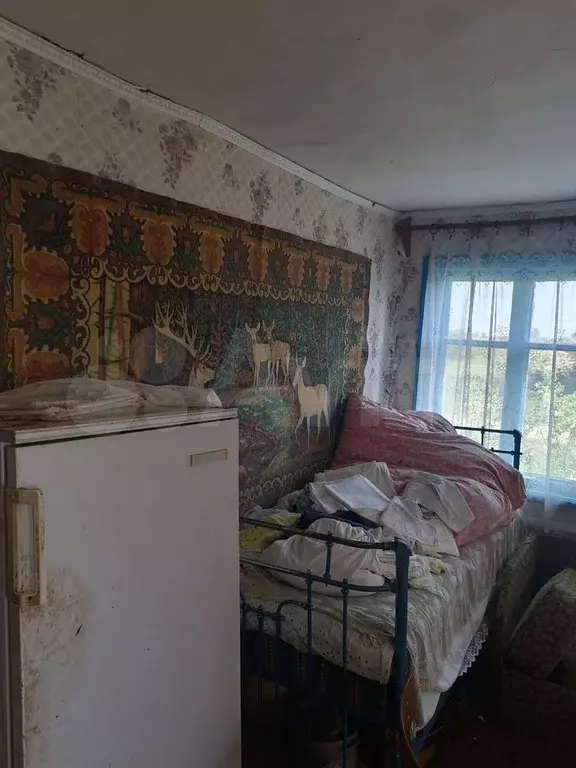Дом 54,9 м на участке 36,7 сот. - Фото 0