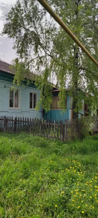 Дом в Воронежская область, Таловский район, с. Александровка  (50 м) - Фото 1