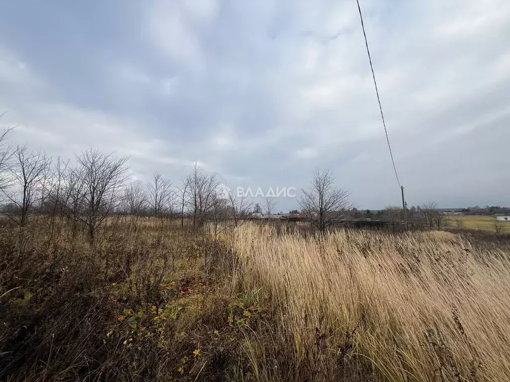 Участок в Владимирская область, Суздальский район, Павловское ... - Фото 2